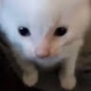 Meet your Posher, Lluvy